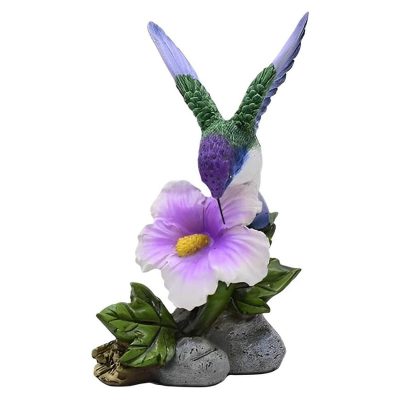 Hummingbird on Purple Flower